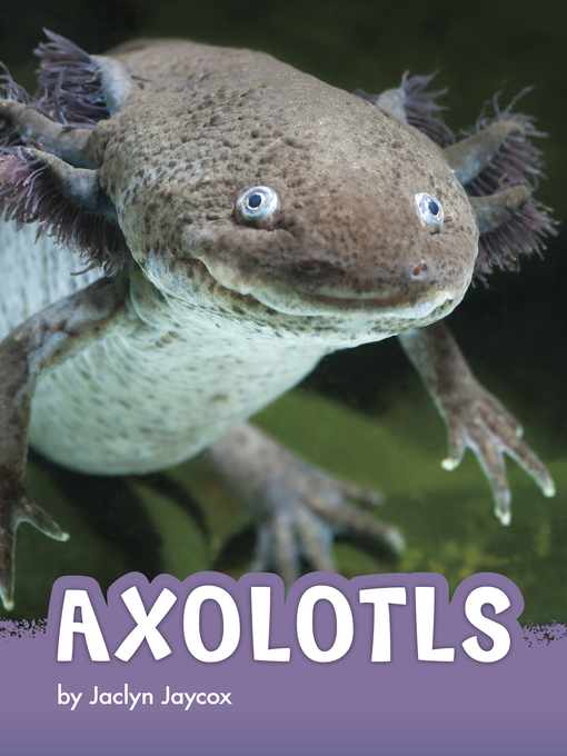 Title details for Axolotls by Jaclyn Jaycox - Available